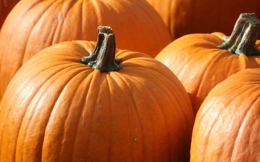 Nutrition d’automne : Les bienfaits de la citrouille sur la santé