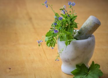 Médecine de grand-mère : trouver ce qui fonctionne et ce qui est fable